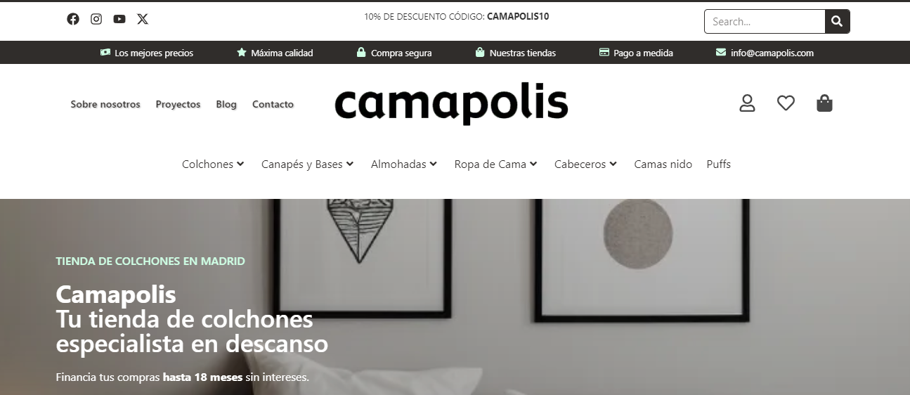 Lee más sobre el artículo Camapolis